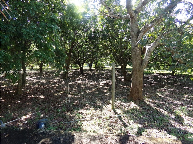 23501 SW 197th Ave, Homestead, FL 33031 - photo 8