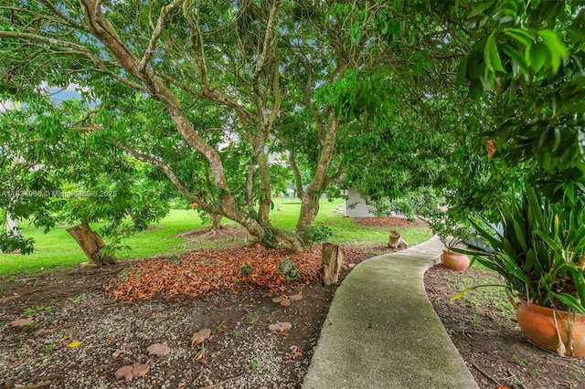 20890 SW 236th St, Homestead, FL 33031 - photo 38