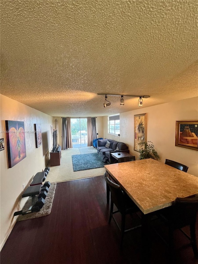 1470 NE 125th Ter Unit 814, North Miami, FL 33161 - dining area with a textured ceiling, track lighting, dark wood-style flooring, and dark colored carpet