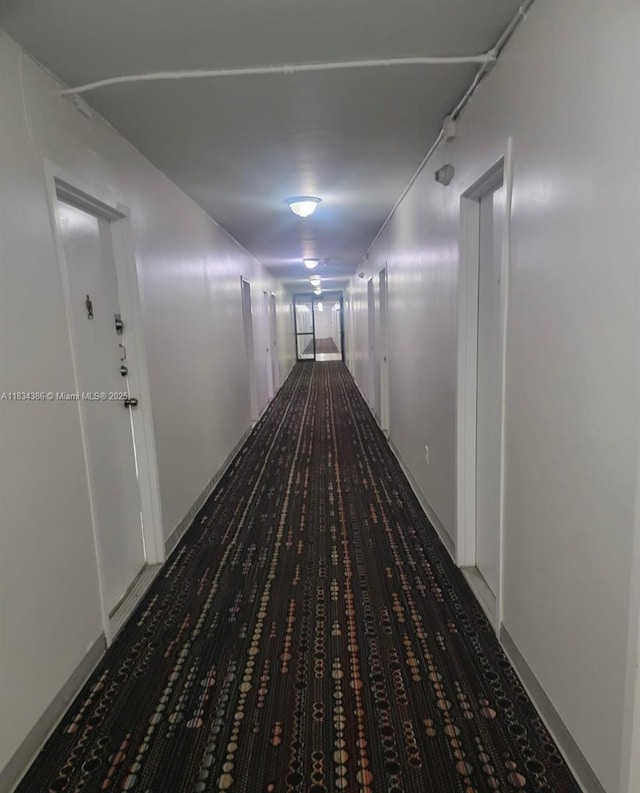 1470 NE 125th Ter Unit 814, North Miami, FL 33161 - hallway with carpet flooring