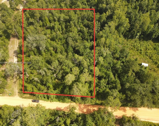0 Scott Church Rd Fl, Marianna, FL 32448 - photo 8