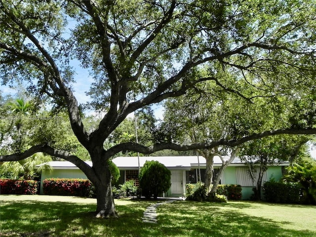 8225 SW 97th St, Miami, FL 33156 - ranch-style house featuring a front lawn