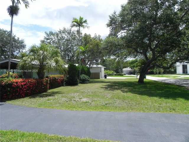 8225 SW 97th St, Miami, FL 33156 - view of grassy yard