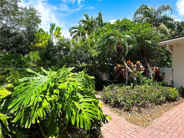 8225 SW 151st St, Palmetto Bay, FL 33158 - view of yard