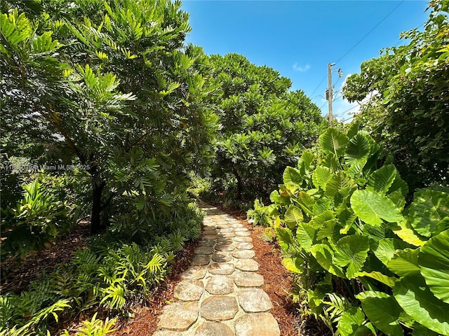 8225 SW 151st St, Palmetto Bay, FL 33158 - view of yard