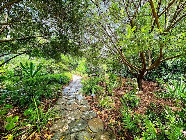 8225 SW 151st St, Palmetto Bay, FL 33158 - view of yard