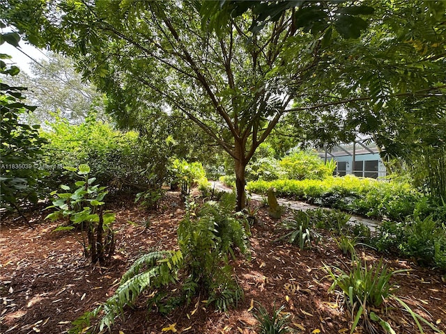 8225 SW 151st St, Palmetto Bay, FL 33158 - view of yard