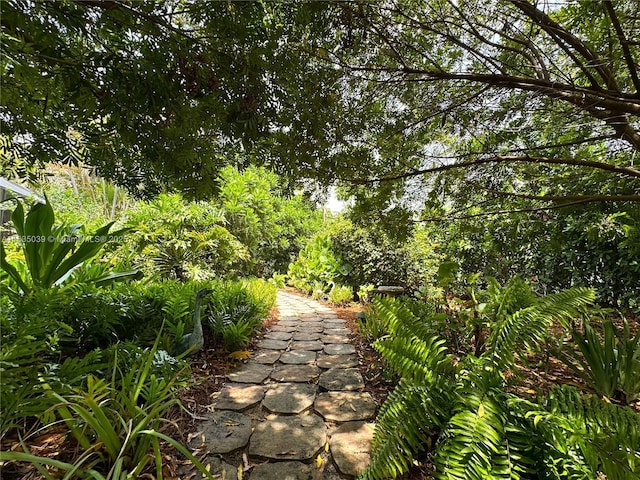 8225 SW 151st St, Palmetto Bay, FL 33158 - view of yard