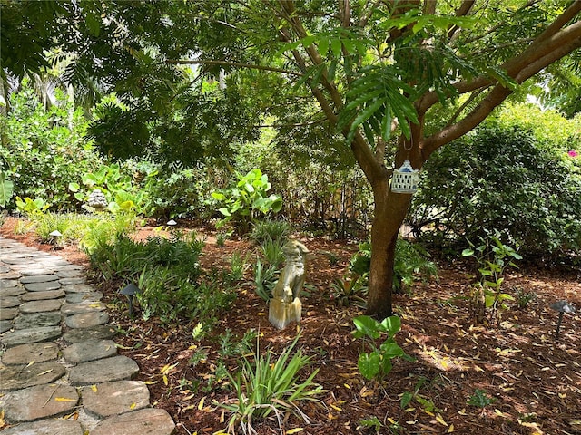 8225 SW 151st St, Palmetto Bay, FL 33158 - view of yard