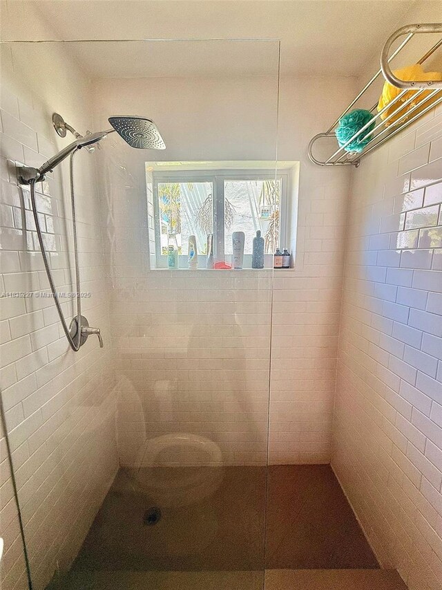 224 Meridian Ave Unit 10, Miami Beach, FL 33139 - bathroom with a tile shower