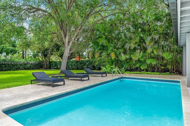 15121 SW 69th Ct, Palmetto Bay, FL 33158 - view of pool with a patio
