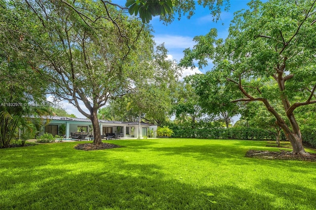 15121 SW 69th Ct, Palmetto Bay, FL 33158 - view of green lawn featuring a patio