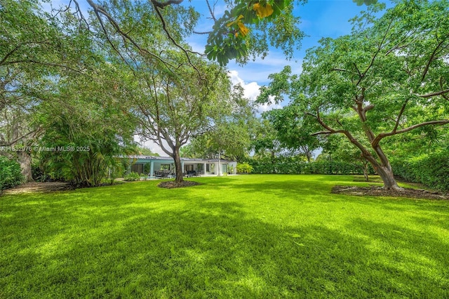 15121 SW 69th Ct, Palmetto Bay, FL 33158 - view of green lawn