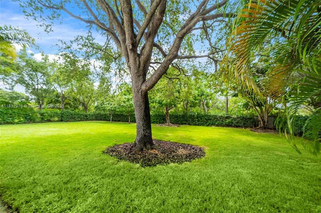 15121 SW 69th Ct, Palmetto Bay, FL 33158 - view of grassy yard