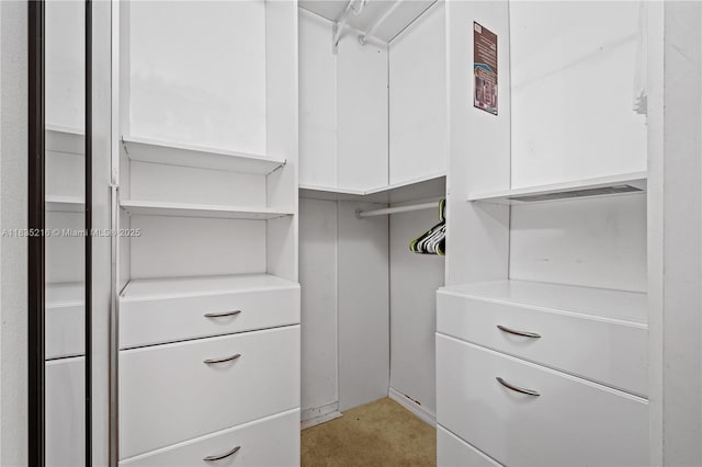 604 SW 107th Ave Unit 706, Pembroke Pines, FL 33025 - view of walk in closet