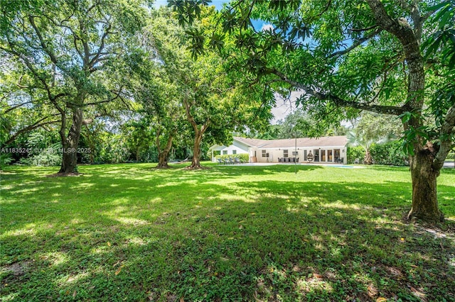 10821 SW 92nd Ave, Miami, FL 33176 - view of grassy yard