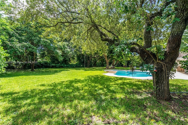 10821 SW 92nd Ave, Miami, FL 33176 - view of grassy yard with an outdoor pool