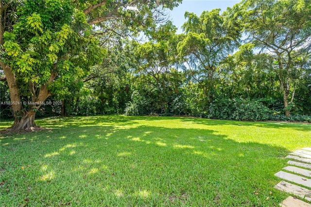 10821 SW 92nd Ave, Miami, FL 33176 - view of green lawn