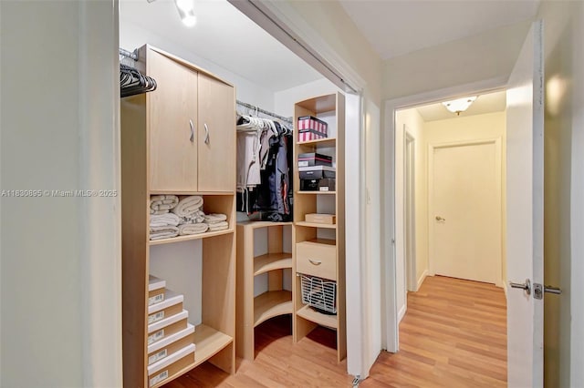 880 SW 64th Ter, North Lauderdale, FL 33068 - walk in closet with light wood finished floors