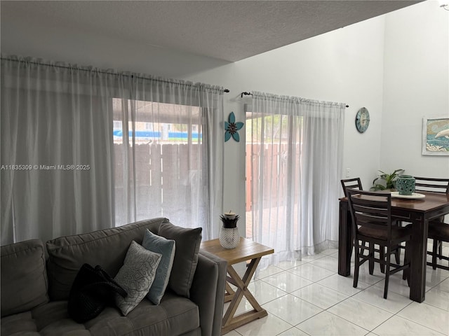 17048 NW 66th Ct, Miami Lakes, FL 33015 - living room with vaulted ceiling and a textured ceiling