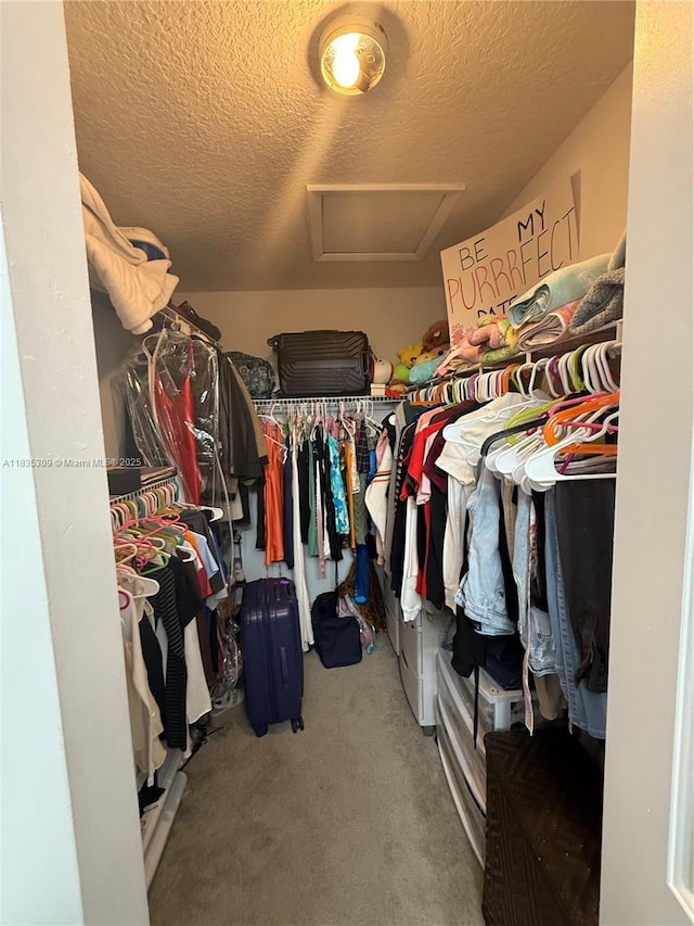 17048 NW 66th Ct, Miami Lakes, FL 33015 - walk in closet with attic access and carpet