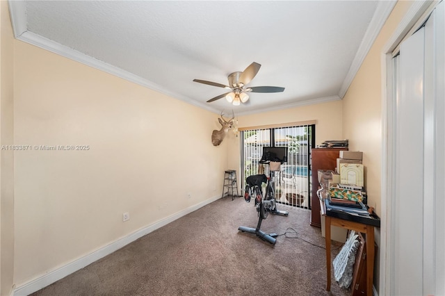 11193 SW 113th Ter, Miami, FL 33176 - exercise room featuring ornamental molding, a ceiling fan, and carpet floors