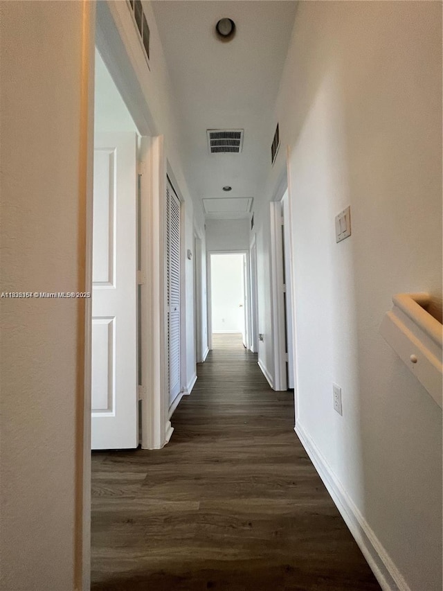 24257 SW 117th Ave, Homestead, FL 33032 - photo 11