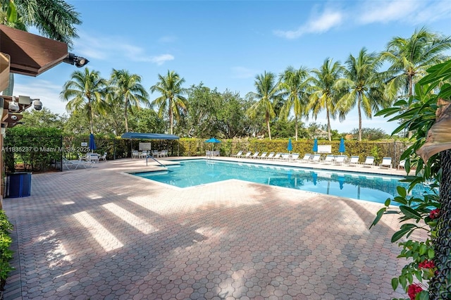 1528 Veracruz Ln Unit 4-3, Weston, FL 33327 - community pool featuring a patio area