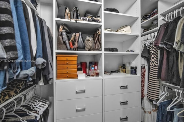 14646 SW 13th St, Pembroke Pines, FL 33027 - view of spacious closet