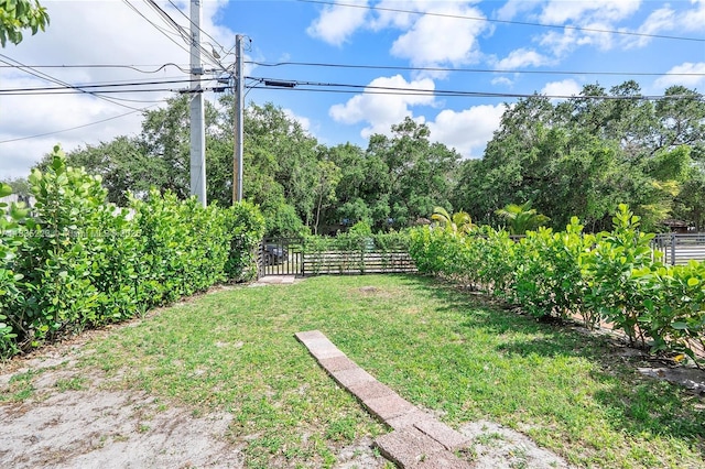 1100 NW 151st St, Miami, FL 33169 - view of yard