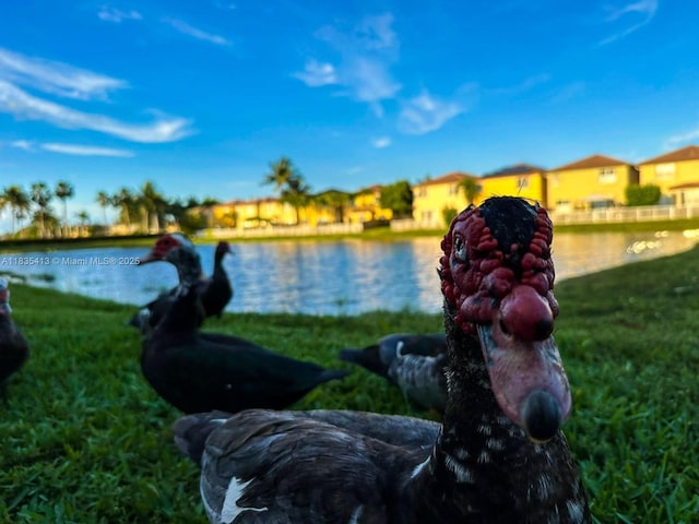 7427 NW 113th Path, Doral, FL 33178 - water view