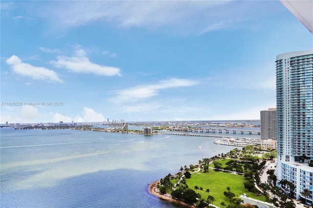 2020 N Bayshore Dr Unit 2801, Miami, FL 33137 - water view with nearby urban area and a notable bridge