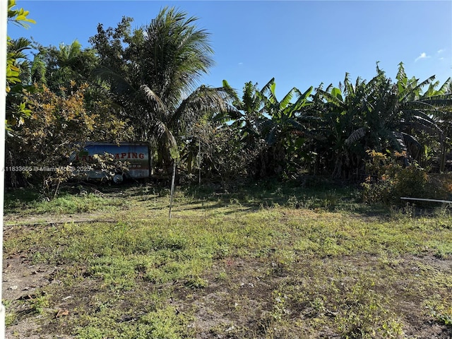 21025 SW 210th Ave, Miami, FL 33187 - photo 50