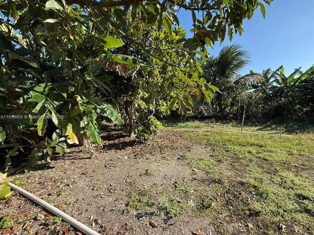 21025 SW 210th Ave, Miami, FL 33187 - photo 86
