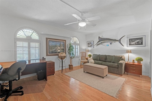 1426 NE 105th St Unit D9, Miami Shores, FL 33138 - office area with a textured ceiling, light wood-style flooring, and ceiling fan