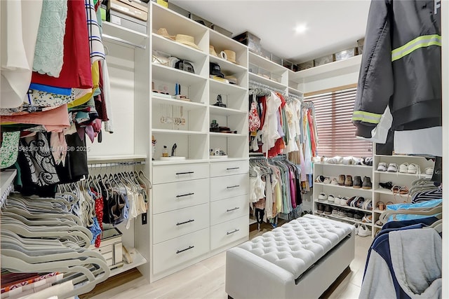 14751 SW 23rd St Unit 14751, Miami, FL 33185 - spacious closet featuring light wood-style flooring