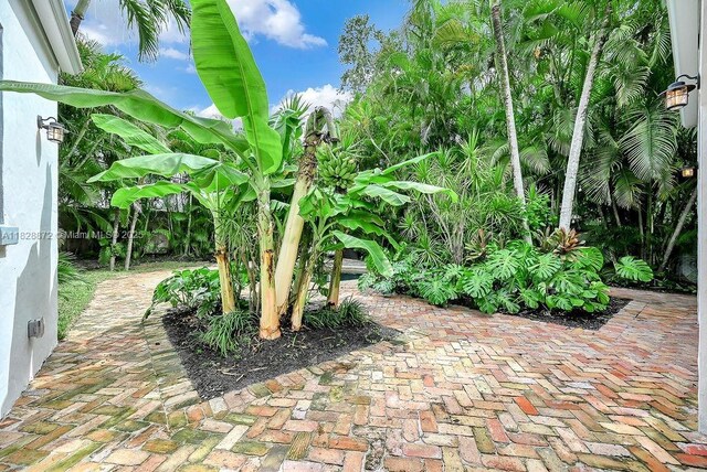 135 NE 87th St, El Portal, FL 33138 - view of patio