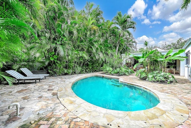 135 NE 87th St, El Portal, FL 33138 - swimming pool with a patio