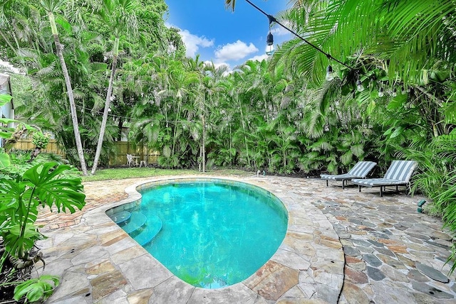135 NE 87th St, El Portal, FL 33138 - view of pool featuring a fenced backyard and a patio area