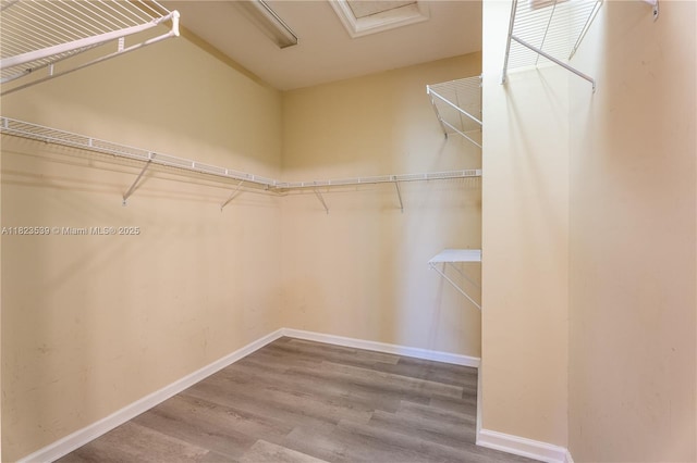 4375 Cascada Cir, Cooper City, FL 33024 - spacious closet featuring wood finished floors