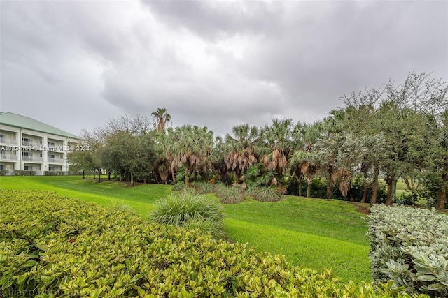 5300 NW 87th Ave Unit 1201, Doral, FL 33178 - view of green lawn