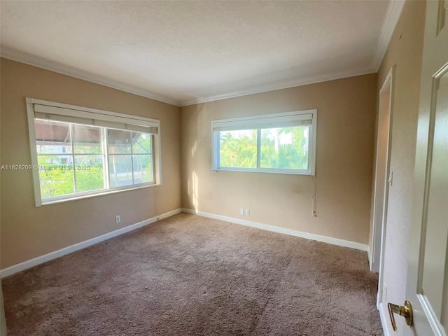 924 SE 2nd St Unit 9, Fort Lauderdale, FL 33301 - carpeted spare room featuring crown molding and baseboards