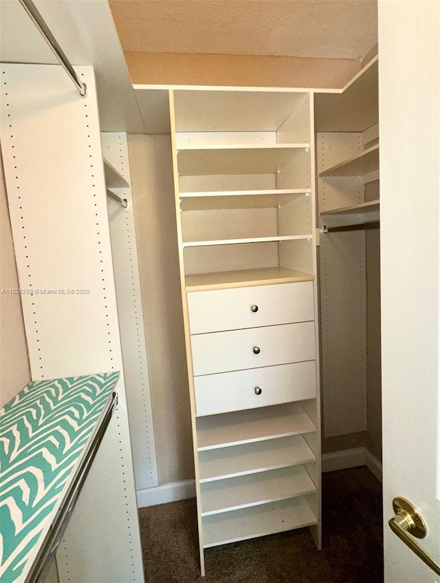 924 SE 2nd St Unit 9, Fort Lauderdale, FL 33301 - spacious closet featuring carpet