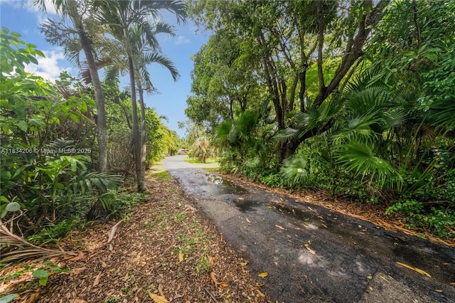 6801 SW 136th St, Pinecrest, FL 33156 - view of street