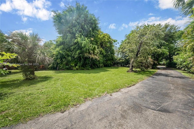 6801 SW 136th St, Pinecrest, FL 33156 - view of grassy yard