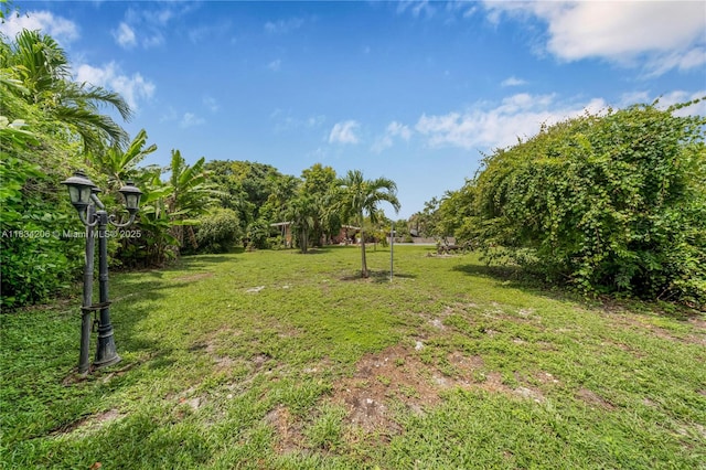 6801 SW 136th St, Pinecrest, FL 33156 - view of green lawn