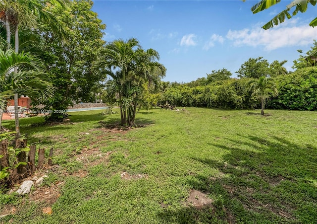 6801 SW 136th St, Pinecrest, FL 33156 - view of green lawn