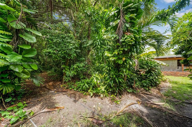 6801 SW 136th St, Pinecrest, FL 33156 - view of yard