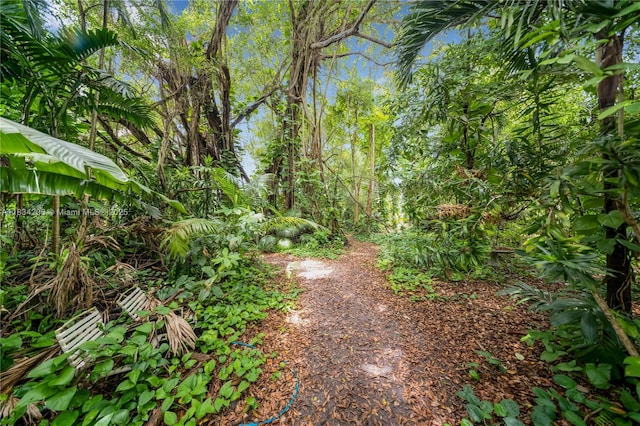 6801 SW 136th St, Pinecrest, FL 33156 - view of yard