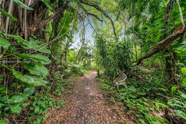 6801 SW 136th St, Pinecrest, FL 33156 - view of road